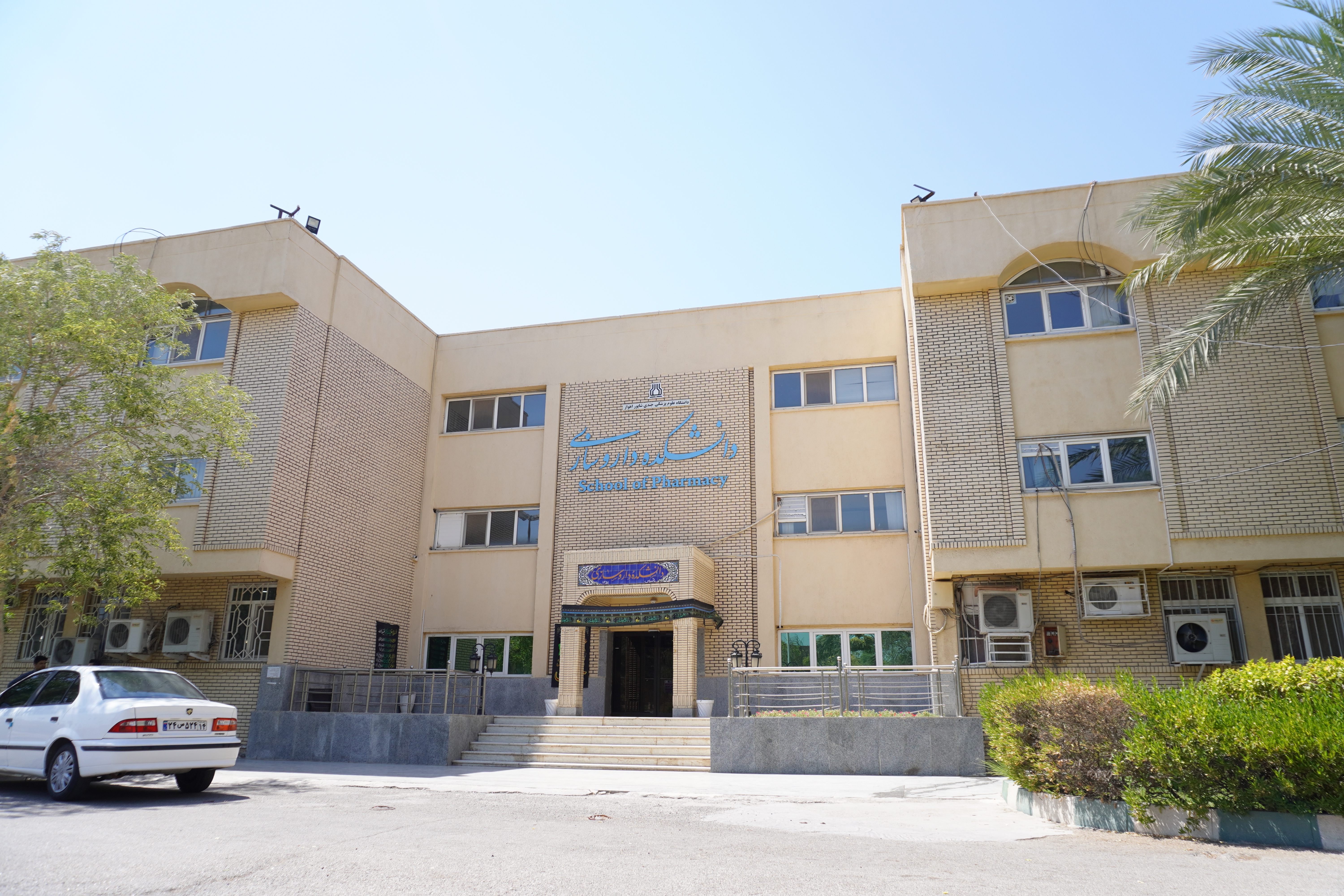 school of medicine
